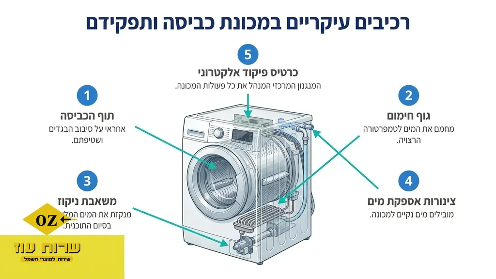 A professional technician inspecting a modern washing machine in a home environment. טכנאי מכשירי חשמל בודק מכונת כביסה